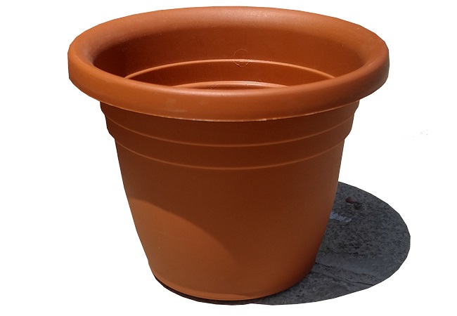 עציץ פעמון "תיאה"